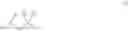 Fig. 08 - S1P Receptor Modulating Compounds and Use Thereof