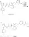 Fig. 19 - p38 MAP kinase inhibitors