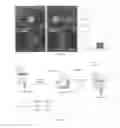 Fig. 06 - Method for identifying compounds useful for treating and/or preventing disease-associated bone loss