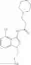 Fig. 20 - P2X7R antagonists and their use
