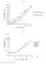 Fig. 02 - Medicament for treating glaucoma comprising as an active ingredient cyclodextrin-clathrate compound of cilostazol