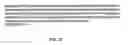 Fig. 05 - Screening assays for compounds that modulate programmed ribosomal frameshifting
