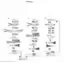Fig. 02 - MicroRNAs and uses thereof