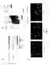 Fig. 06 - Oligonucleotidic sequences able to silence the expression of the chimera and uses thereof in medical field
