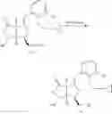 Fig. 216 - Compounds and methods for inhibiting the interaction of BCL proteins with binding partners
