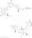 Fig. 232 - Compounds and methods for inhibiting the interaction of BCL proteins with binding partners