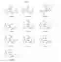 Fig. 02 - Cinchona-based bifucntional organocatalysts and method for preparing chiral hemiesters using the same