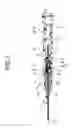 Fig. 02 - Needle tip protector and indwelling needle assembly