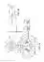 Fig. 02 - MEDICAL LINE ANCHORING SYSTEM