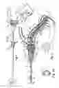 Fig. 02 - SURGICAL INSTRUMENT