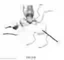Fig. 24 - Intramedullary fixation screw, a fixation system, and method of fixation of the subtalar joint