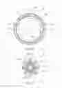 Fig. 07 - Prosthetic valve for transluminal delivery