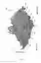 Fig. 04 - Method of analysing an audio signal
