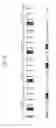 Fig. 07 - Digital television transmitter/receiver and method of processing data in digital television transmitter/receiver