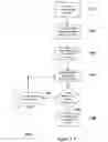 Fig. 02 - Method of user display associated with displaying registered images