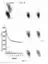 Fig. 09 - Photoconvertible fluorescent proteins