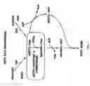 Fig. 02 - DEVELOPMENT OF HERBICIDE-RESISTANT GRASS SPECIES