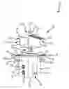 Fig. 01 - Photovoltaic module mounting assembly