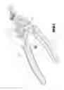 Fig. 02 - Pair of Pliers with Dual Functions for Snap Ring