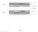 Fig. 06 - COMPOSITE AUXETIC ARMOUR