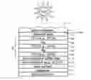 Fig. 01 - Front electrode for use in photovoltaic device and method of making same