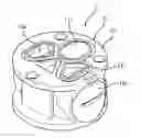 Fig. 01 - Pressure balance valve
