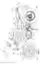 Fig. 02 - Hydraulic clutch