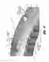 Fig. 06 - Diecast coupling member for use in an engageable coupling assembly