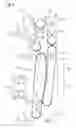 Fig. 03 - Method and apparatus for the reversal of direction in the transport of articles