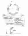 Fig. 02 - Mass spectrometer