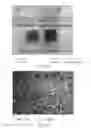 Fig. 08 - Method for producing silicon nanostructures