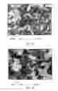 Fig. 09 - Method for producing silicon nanostructures