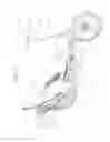 Fig. 02 - Self-propelled vehicle propelled by an elliptical drive train with improved stride length