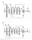 Fig. 04 - SYSTEM AND METHOD FOR COMMUNICATING A SIGNAL TO EMIT A VISUAL DISPLAY AT DIFFERENT FRAME RATES