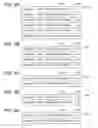 Fig. 08 - Image transfer method, image transfer system, and projector