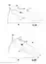 Fig. 10 - TILT AND POSITION COMMAND SYSTEM FOR INPUT PERIPHERALS