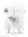 Fig. 02 - Method for displaying image information and autostereoscopic screen