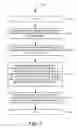Fig. 07 - Reorienting properties in hair dynamics