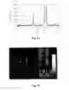 Fig. 10 - Piezoelectric element, liquid ejection head, and liquid ejection device