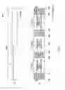 Fig. 08 - Transmitter, display, shutter eyeglass device, transmission/reception system, display system and transmission/reception method