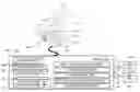 Fig. 01 - MICROSCOPE APPARATUS AND OBSERVATION POSITION REPRODUCTION METHOD