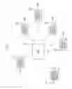 Fig. 02 - WIRELESS COMMUNICATION APPARATUS AND WIRELESS COMMUNICATION METHOD