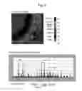 Fig. 06 - Method and apparatus for processing mass analysis data