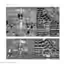 Fig. 11 - Method of extracting three-dimensional objects information from a single image without meta information
