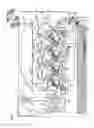 Fig. 02 - Image forming apparatus with translation cam member