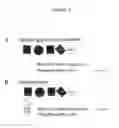 Fig. 02 - Method for Determination of the Responsiveness of an Individual to Misletoe Lectin