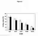Fig. 09 - Method for Determination of the Responsiveness of an Individual to Misletoe Lectin