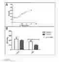 Fig. 09 - Treatment of Ocular Surface Disorders by Increasing Conjunctival Vascular Permeability