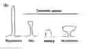 Fig. 01 - METHODS FOR TREATING NEUROPSYCHIATRIC CONDITIONS
