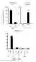 Fig. 02 - BLOCKADE OF TL1A-DR3 INTERACTIONS TO AMELIORATE T CELL MEDIATED DISEASE PATHOLOGY